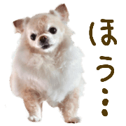 028