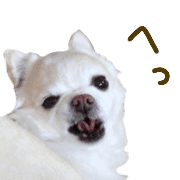 029