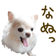 030