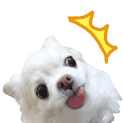 031