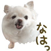 032