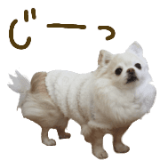 033