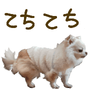 034