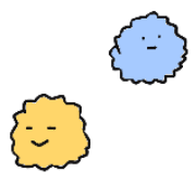 019