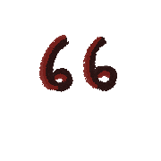 004