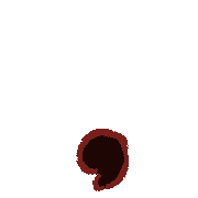007
