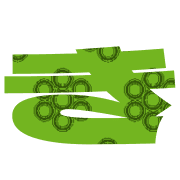 007