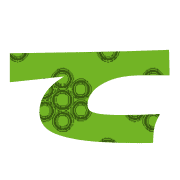 019