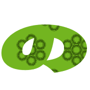 025