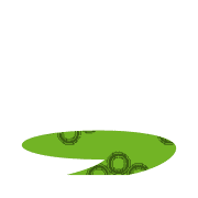 245