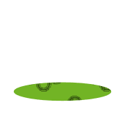 246