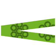 248