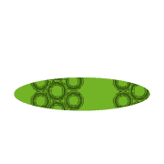 253