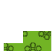 255