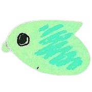 005