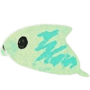019