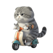 แมวลายสีเทาหน้ากวน รูปที่ 37