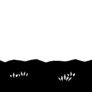 036