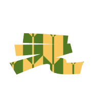 050