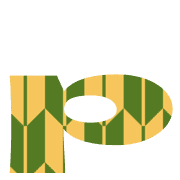 203