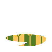 245