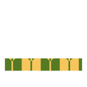 250