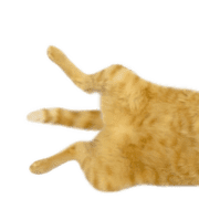 039