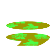 243