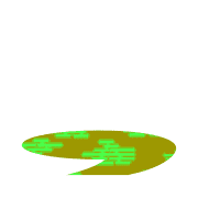 245
