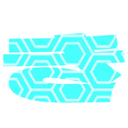 007