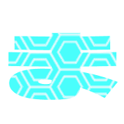 031