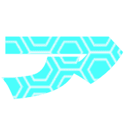 081