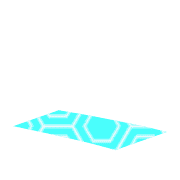 256