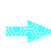 262