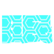 295