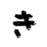 007