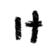 009