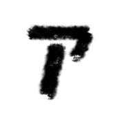 081