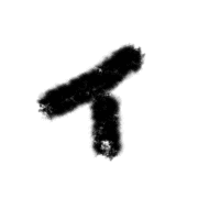 082