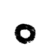 202