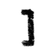 241