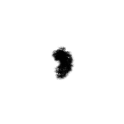 245