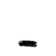 250