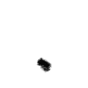 256