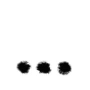 257