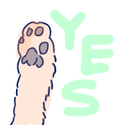 007