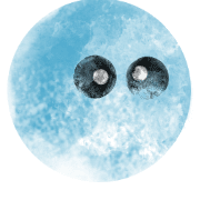 013