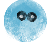 015