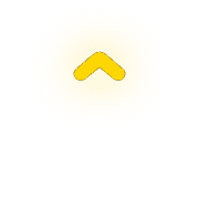 231
