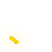 256